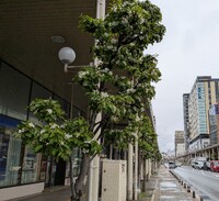 img_20250512-105732.jpg