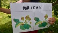 img_20250615-205340.jpg
