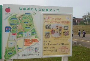 img_20250615-222105.jpg