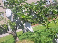img_20250712-183948.jpg
