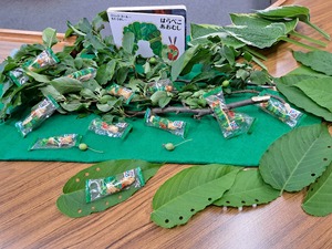 img_20250712-184515.jpg