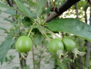 img_20250714-151746.jpg