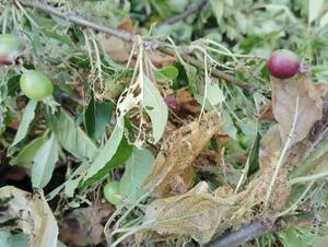 img_20250714-151824.jpg