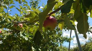 img_20250809-140326.jpg