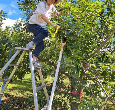 アイウエオの木絵本の会 青森りんご植栽150周年「りんごと楽しむ12か月」