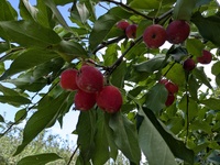 img_20250906-194646.jpg