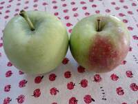img_20250917-105440.jpg