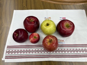 img_20251012-150853.jpg