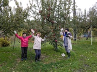img_20251116-164345.jpg
