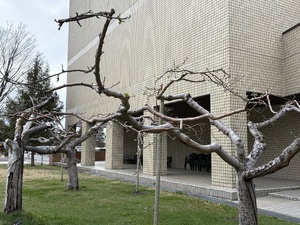 img_20260412-115325.jpg