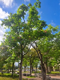 img_20260509-170855.jpg