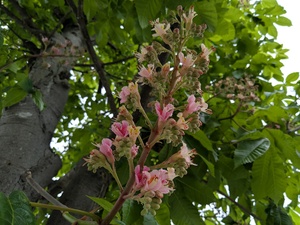 img_20260516-151433.jpg
