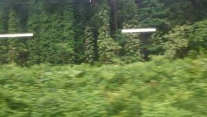 img_20260610-152404.jpg