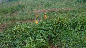 img_20260610-154309.jpg