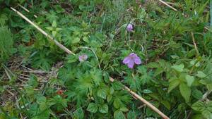 img_20260610-154330.jpg