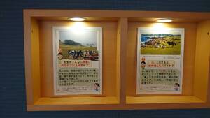 img_20260610-154456.jpg