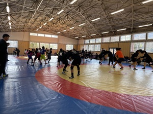 img_20240115-084335.jpg