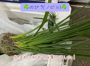 img_20250417-220234.webp