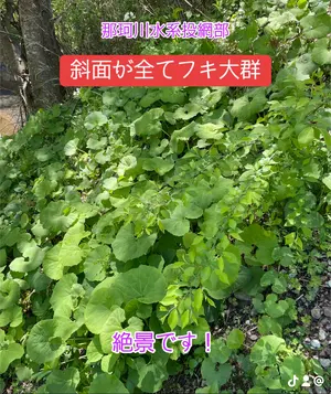 img_20250509-114634.webp