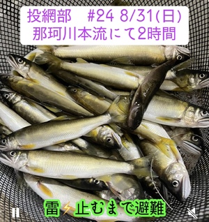 img_20250901-111336.jpg