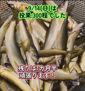 img_20250917-140732.jpg