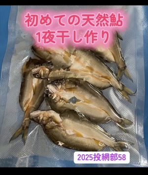 img_20251216-112807.jpg