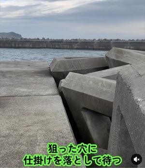 img_20251222-104814.jpg