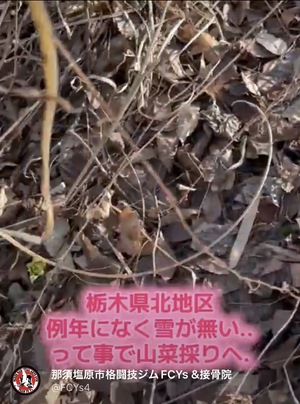 img_20260301-215745.jpg