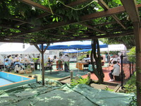 img_20220629-060450.jpg