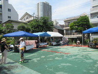 img_20220629-060528.jpg