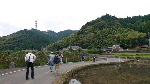 img_20181025-135517.jpg