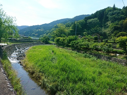 img_20190530-083909.jpg