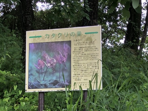 img_20210624-024218.jpg
