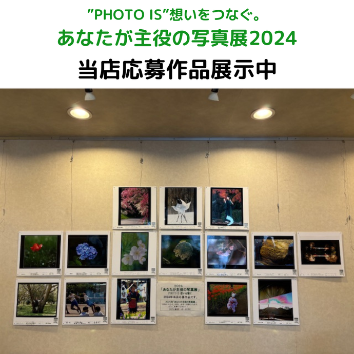 img_20241125-121743.png