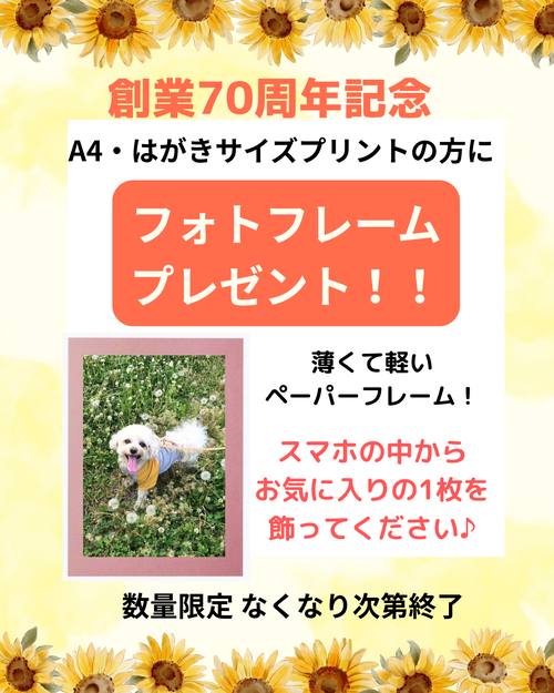 img_20250717-124715.png