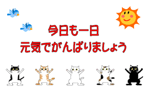 img_20240217-190309.gif