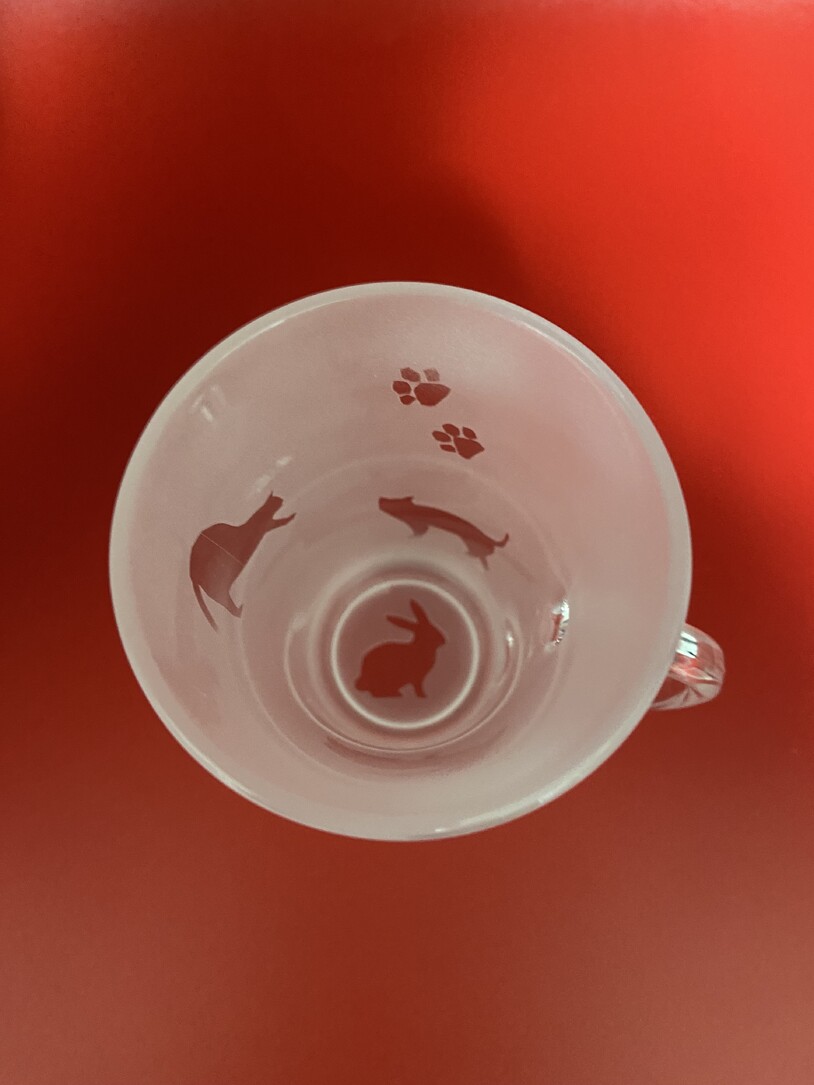 img_20251210-153205.jpg