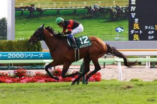 イクイノックス　2022皐月賞　ルメール直筆サイン　馬券ホルダー　馬券　鬣　一本 今週の重賞 | 馬券はサインで的中出来ますよ〜