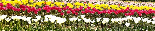 img_20250501-164100.jpg