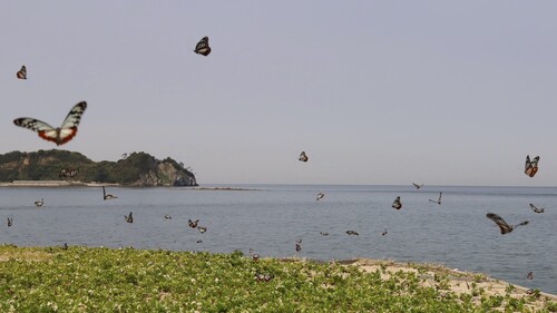 img_20210512-120431.jpg