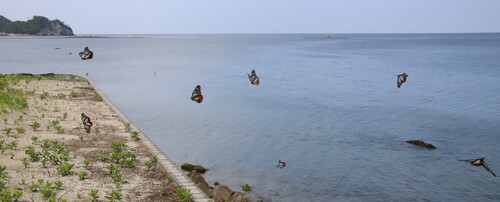 img_20240503-112441.jpg
