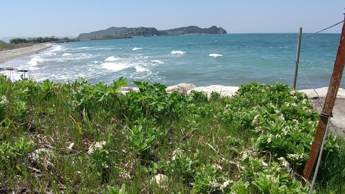 img_20250502-164335.jpg