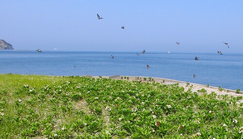 img_20250514-184125.jpg