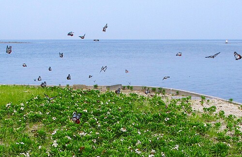 img_20250516-125510.jpg