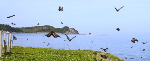 img_20260511-172802.jpg
