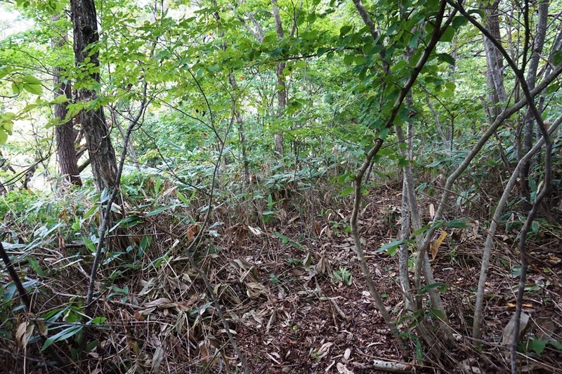 北壕道　終端に位置する「高見台」の平場