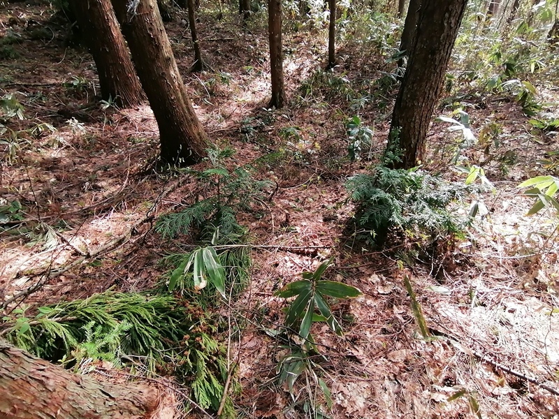 竪穴式住居跡3 竪穴式住居跡3