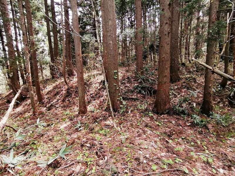 環濠集落跡 正面の切岸 環濠集落跡 正面の切岸