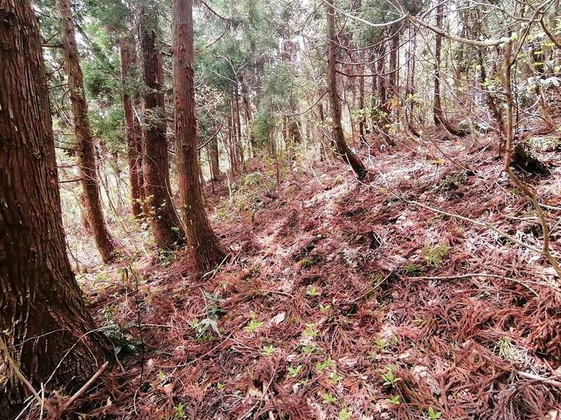 環濠集落跡 東側に回り込む 環濠集落跡 東側に回り込む