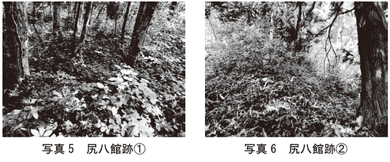 img_20260112-141715.png